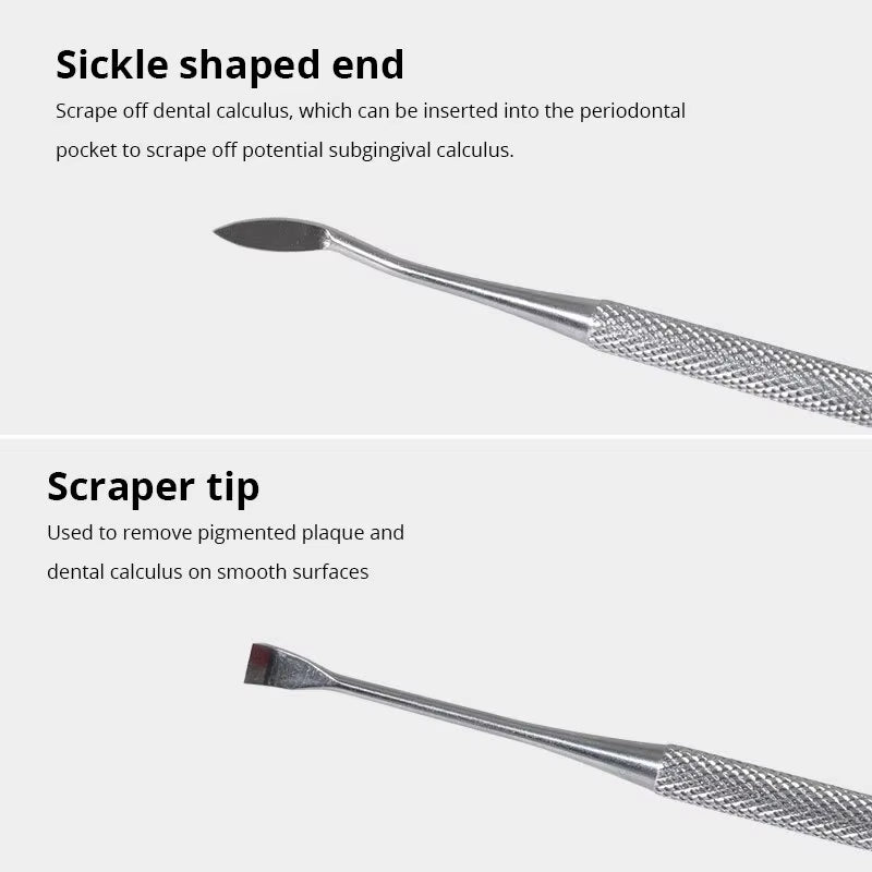 Stainless Steel Dog Dental Cleaning Tool - Tartar Remover and Oral Freshener for Pets