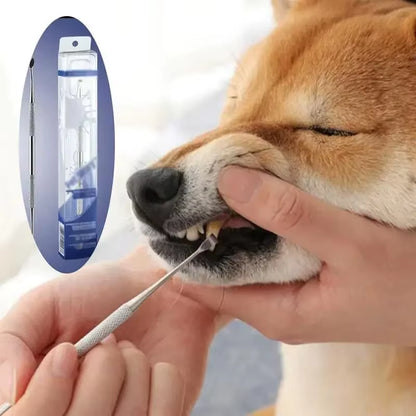 Stainless Steel Dog Dental Cleaning Tool - Tartar Remover and Oral Freshener for Pets