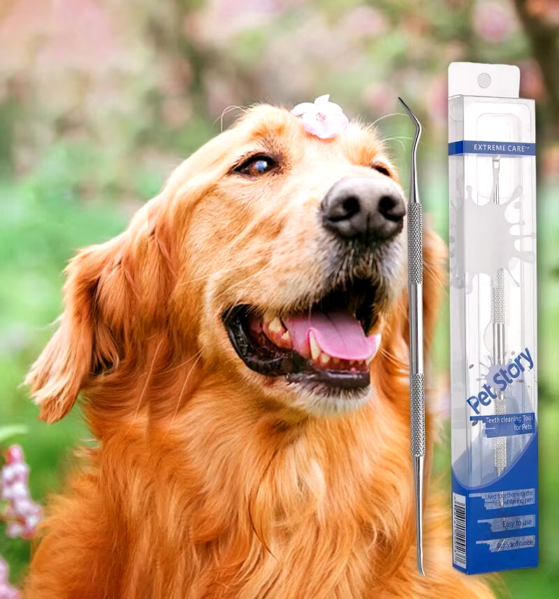 Stainless Steel Dog Dental Cleaning Tool - Tartar Remover and Oral Freshener for Pets