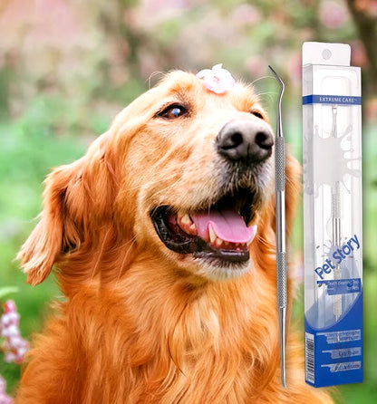 Stainless Steel Dog Dental Cleaning Tool - Tartar Remover and Oral Freshener for Pets